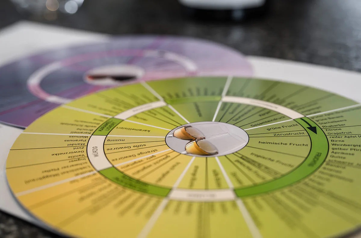 Weinseminar Ludwigsburg (Sensorik) - 2