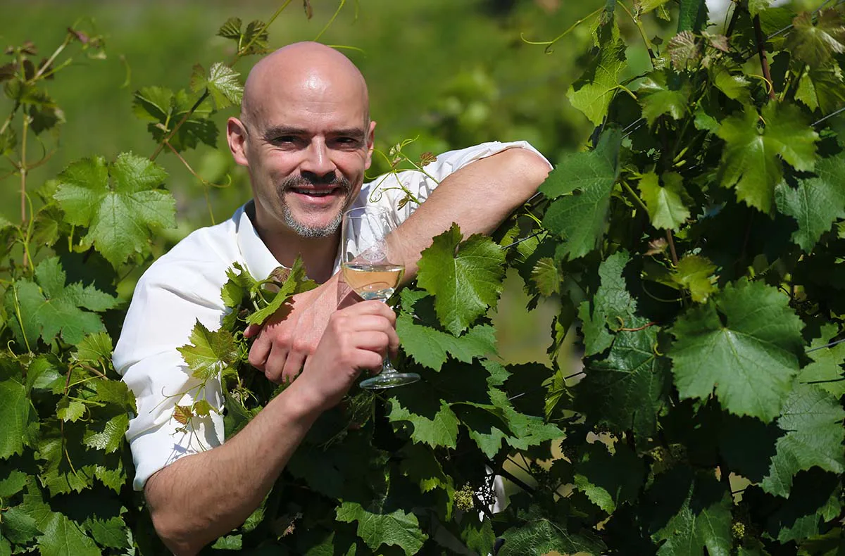 Weinseminar für Genießer für 2 Lorch - 2