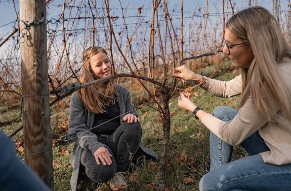 Weinwanderung Lieser