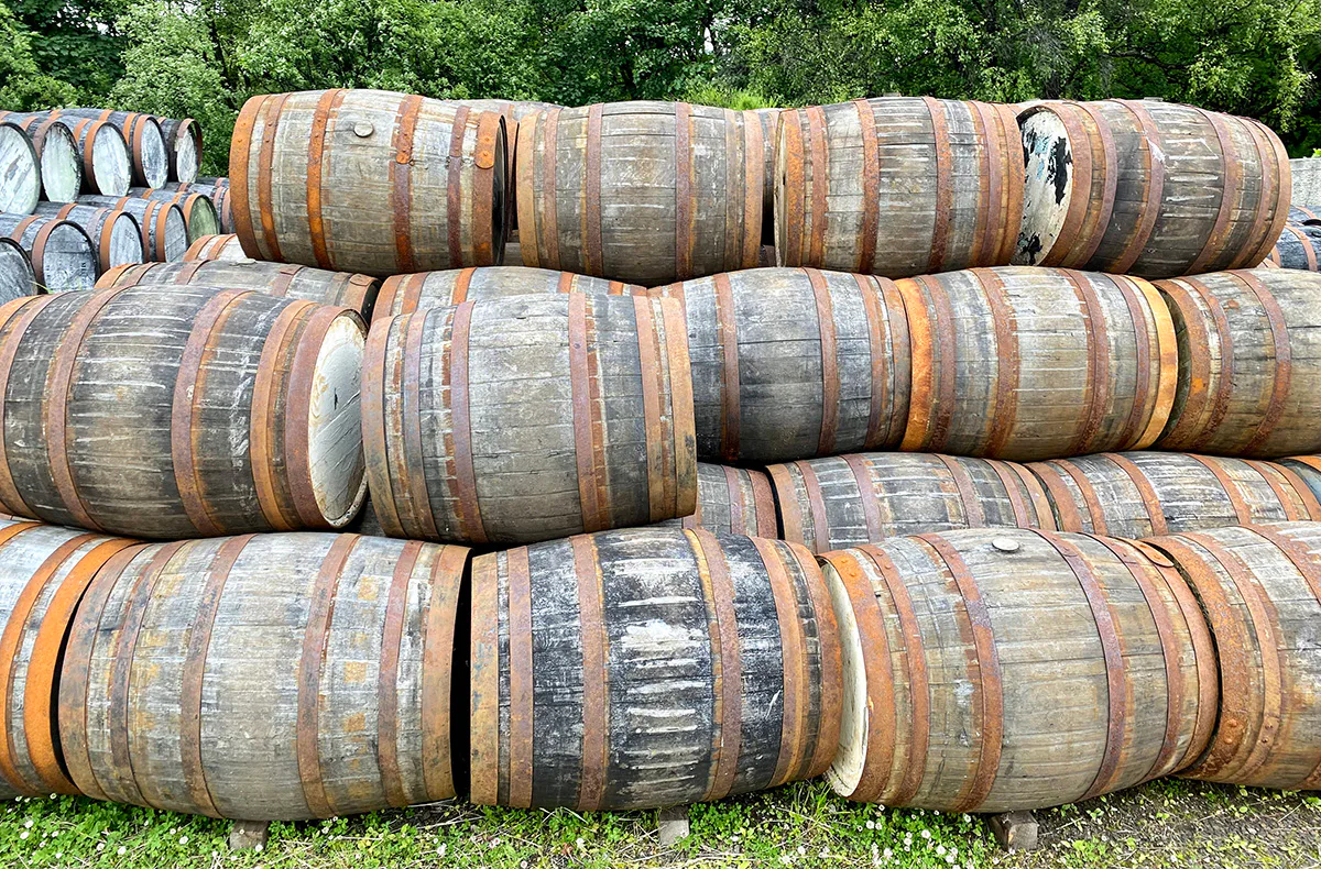 Whisky Seminar Graz (Irischer Whisky) - 2