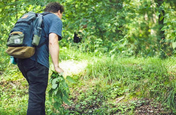 Wildkräuter Kochkurs Hattingen