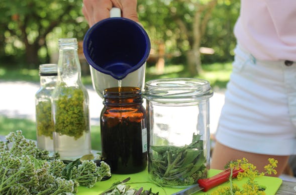 Wildkräuter Kurs Jüchen